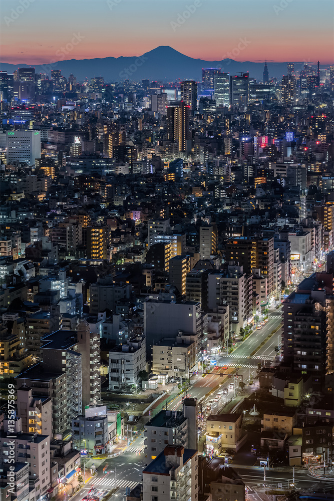 Tokyo city in evening with Mountain Fuji in background