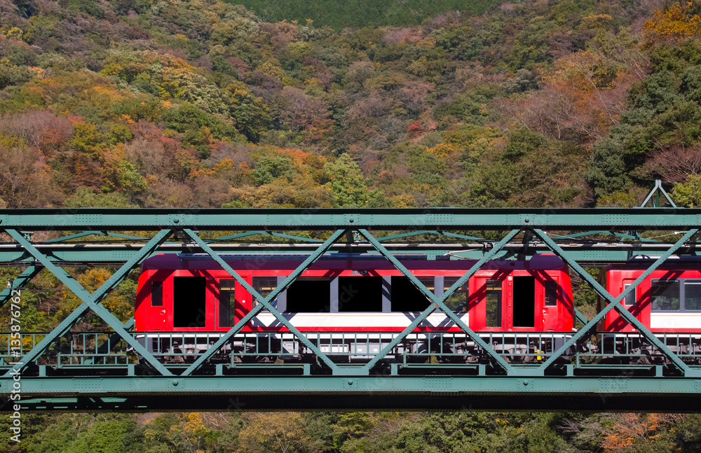 Beautiful mountain landscape with railway bridge and train in autumn season at Hakone town , Japan