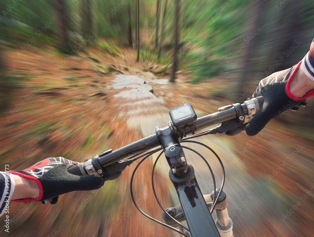 Ride on bicycle on road in summer forest. Sport and active life concept