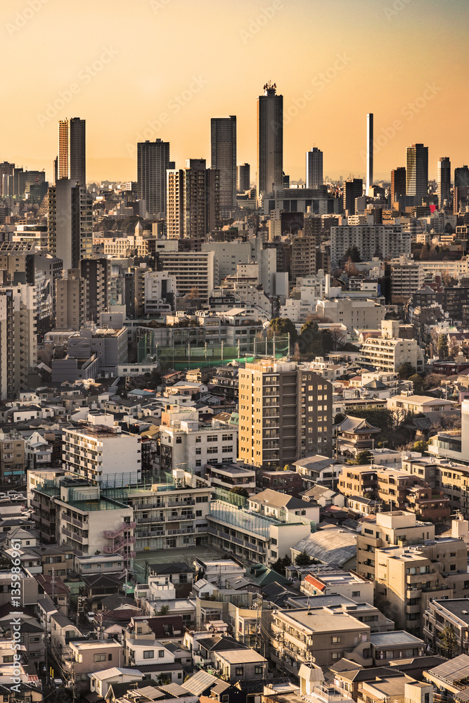 東京のビル郡