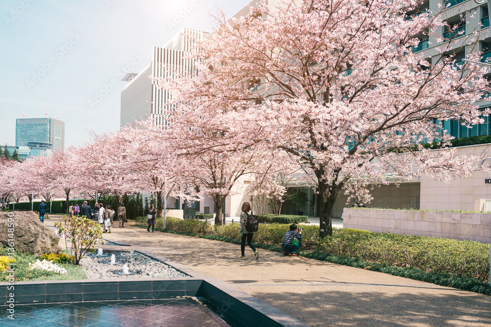 TOKYO MIDTOWN, JAPAN - APRIL 1ST: Unidentified tourists enjoy th