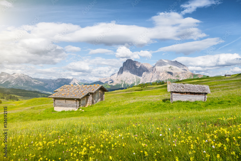 Alpe di Siusi, South Tyrol, Italy