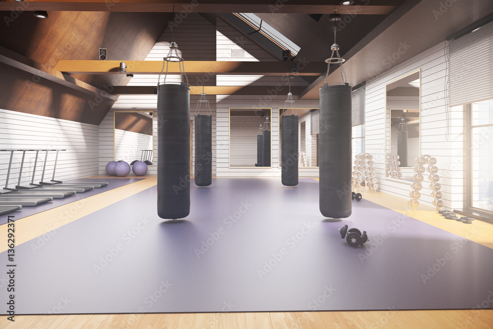 Modern gym interior