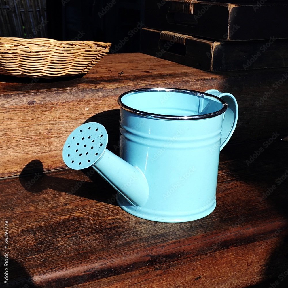 Watering Can Sapling Gardener Growth Cultivate Concept