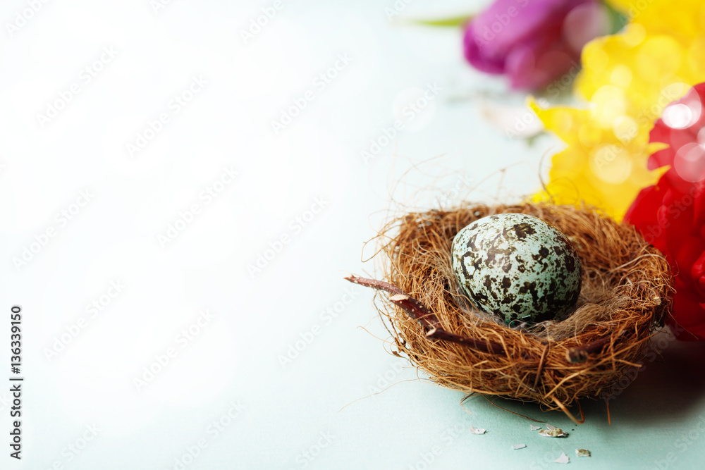 Easter egg in birds nest with spring flowers