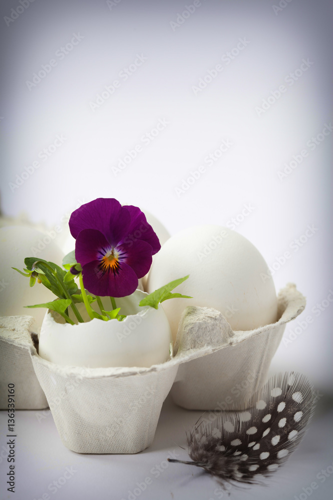 Cute flowers in egg shells for Easter