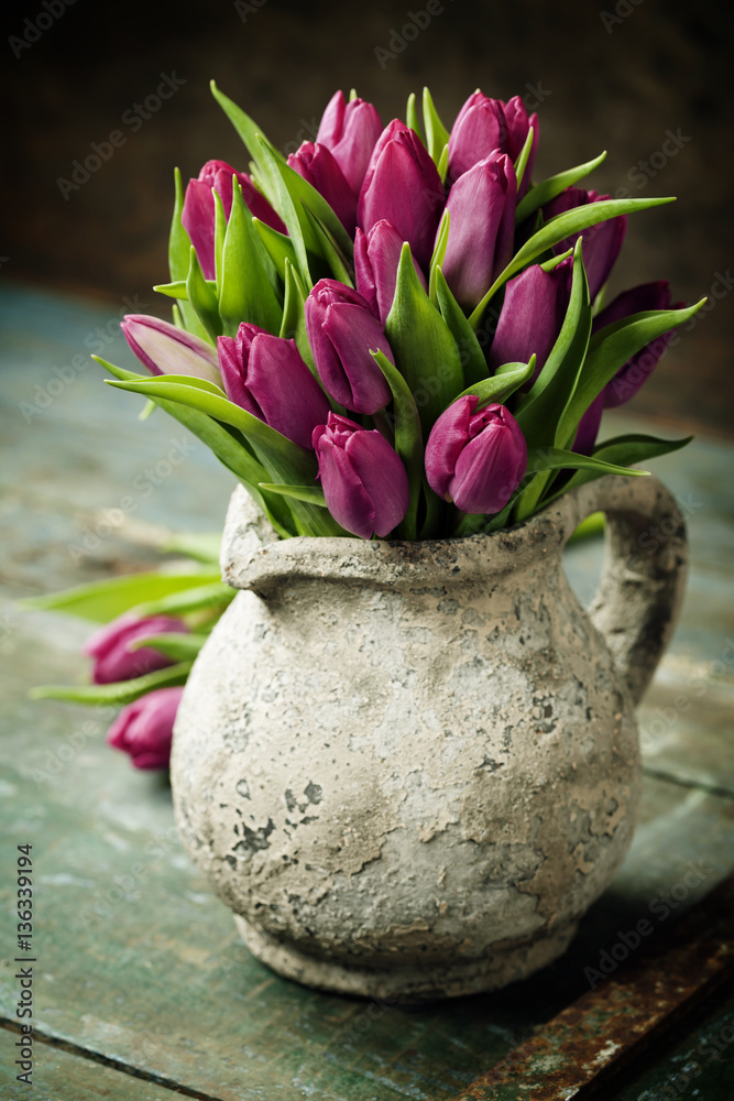 Purple Tulips