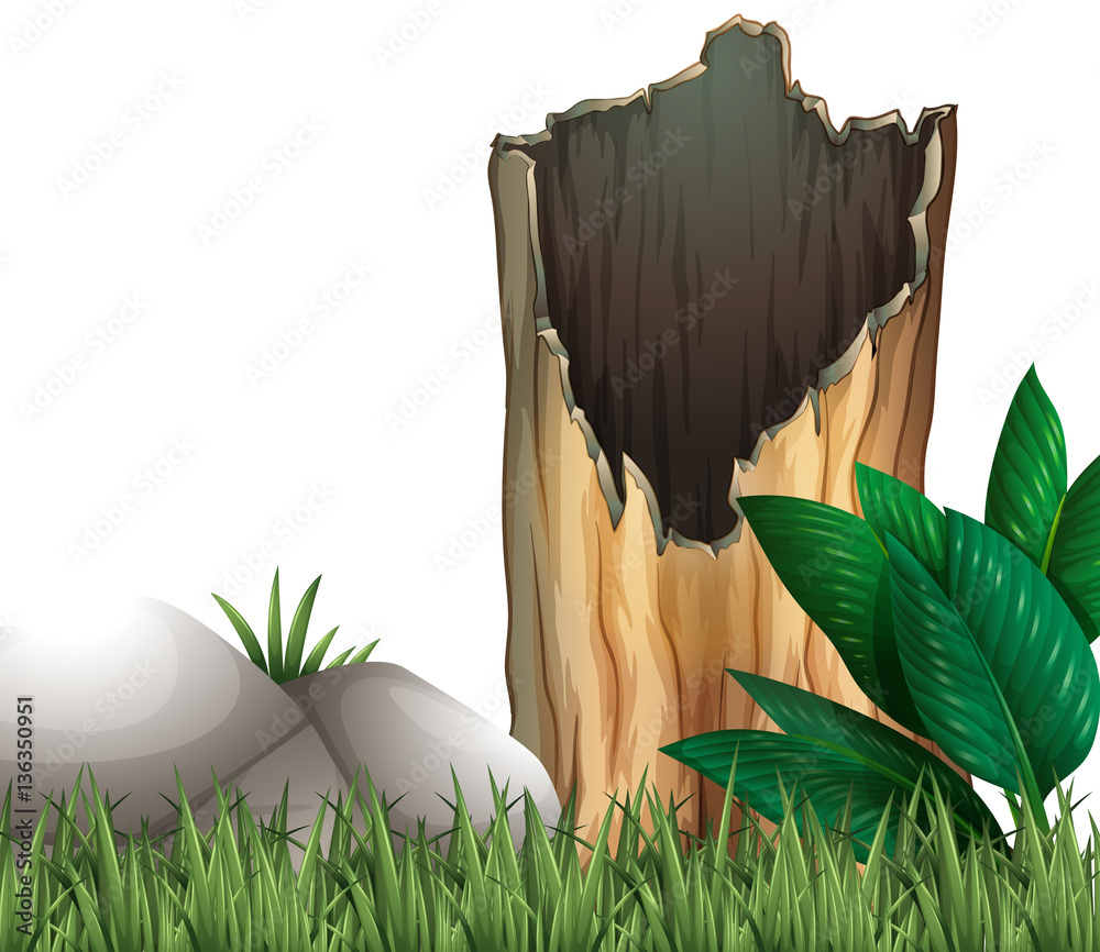 Wooden log and rock on grassland