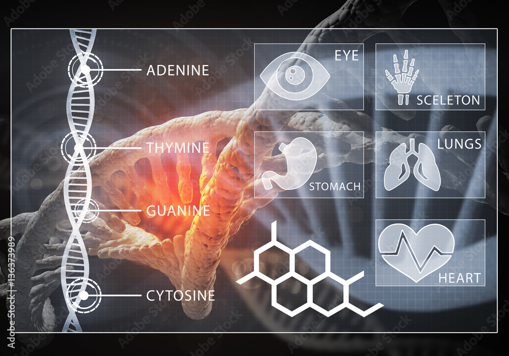 Medicine user interface, 3D rendering