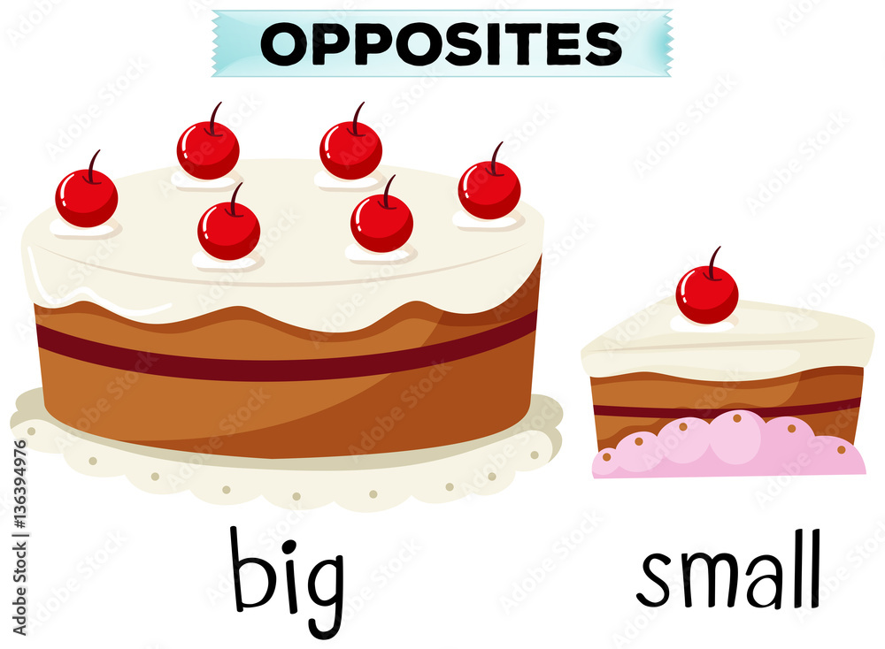 Opposite wordcard for big and small