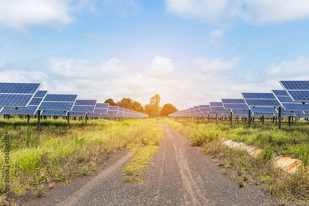 solar cells  in solar power station energy from the sun 