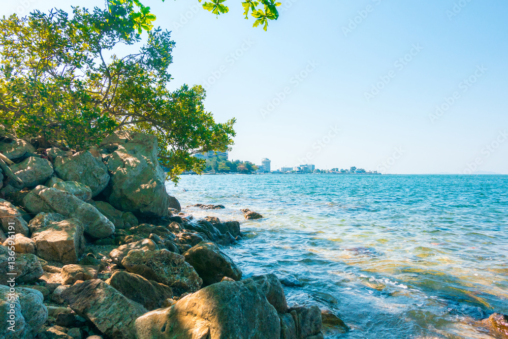 Calm Sea Ocean with tree And rocks Blue Clear Sky on sandy beach Seascape Background .