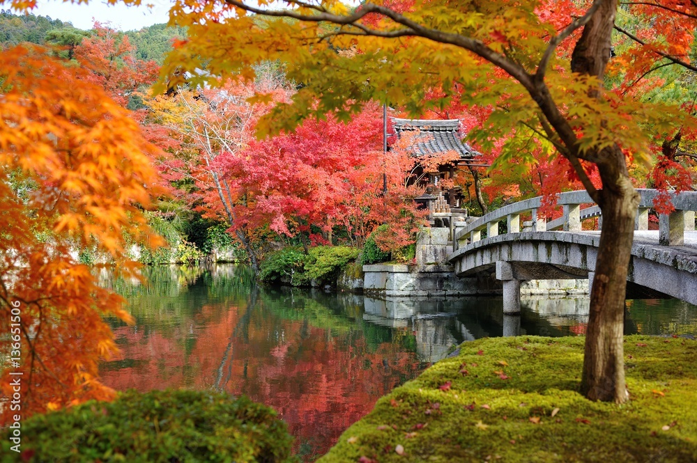 太鼓橋と紅葉