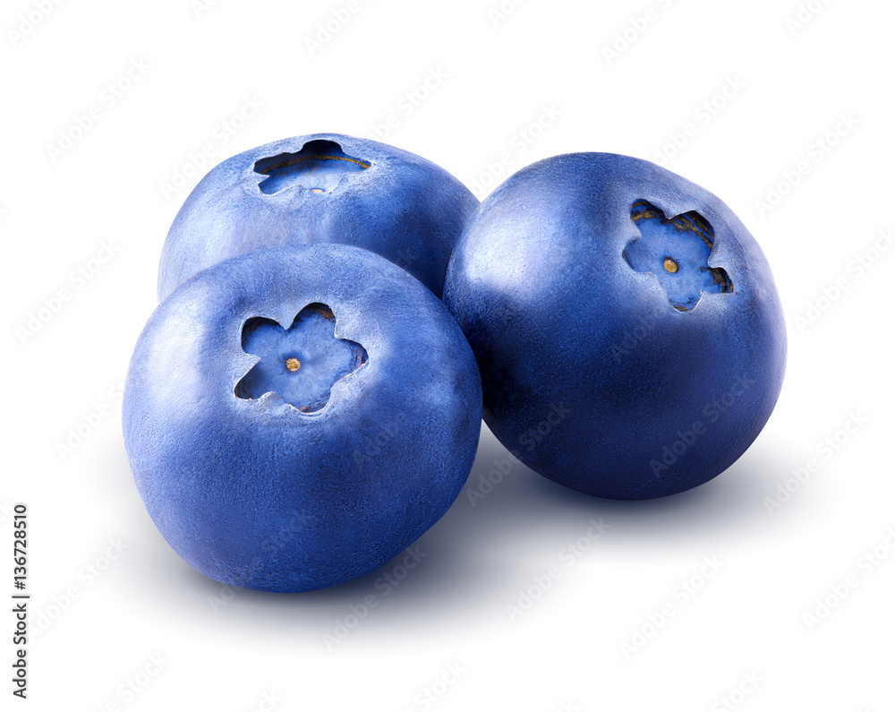 Three blueberries. Berry isolated on white background. With clipping path. Close up. Macro.