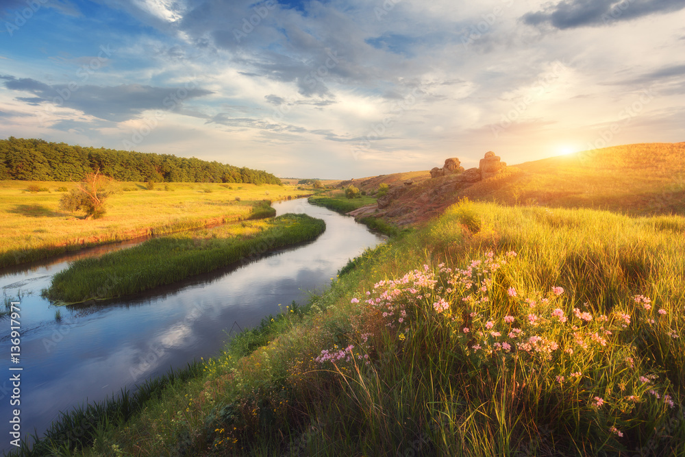 Summer landscape at sunset. Flowers, green grass at the river against rocks and blue sky with clouds