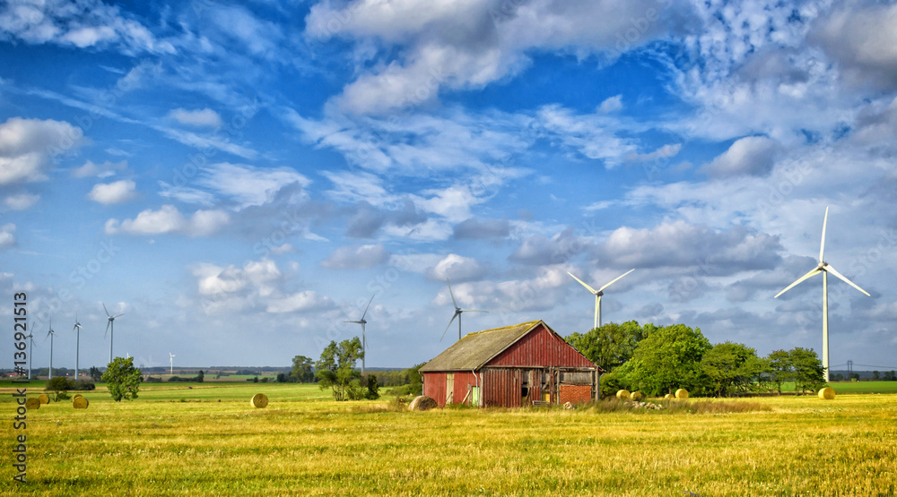 Summer Swedish farm in panorama landscape 