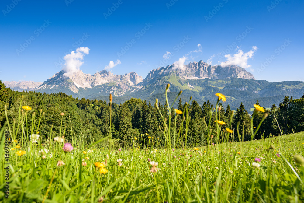 Austrian summer landscape, Kitzbuehel, Tyrol, Austria