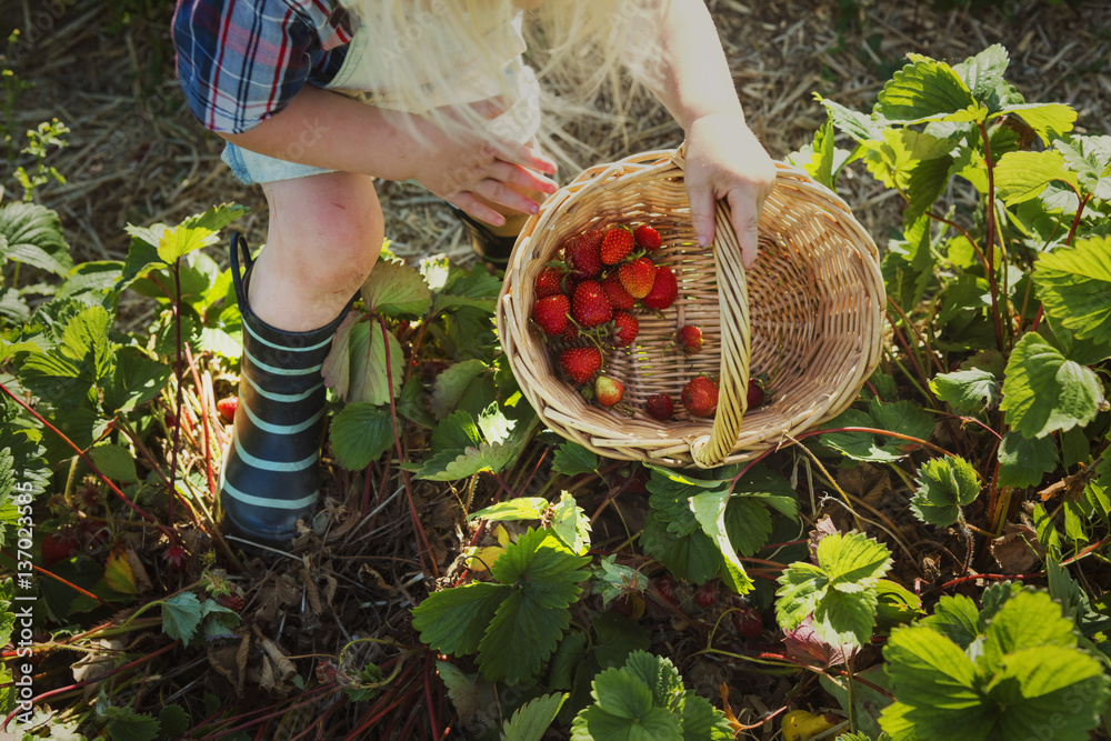 Cultivate Garden Nature Seasonal Growth Concept