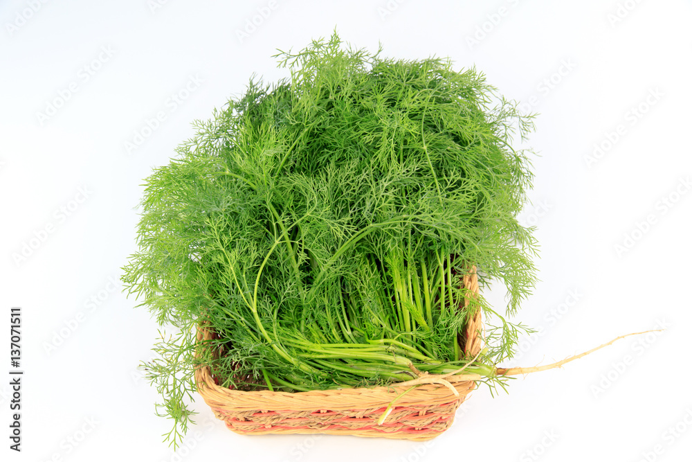 fennel in a basket