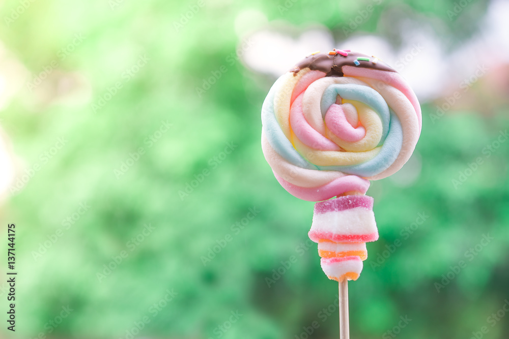 Colorful spiral lollipop