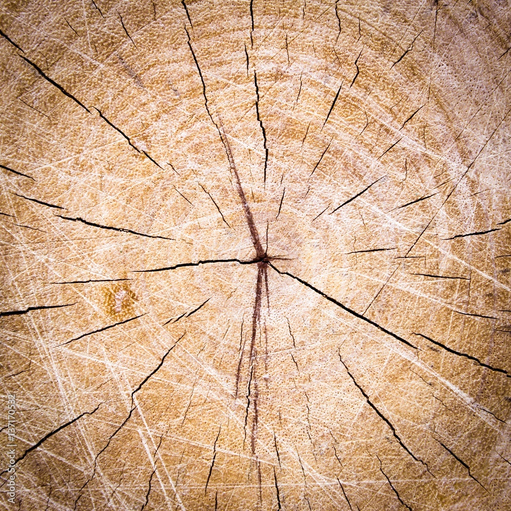 Brown wood texture background / wood texture with natural pattern / old wood texture background