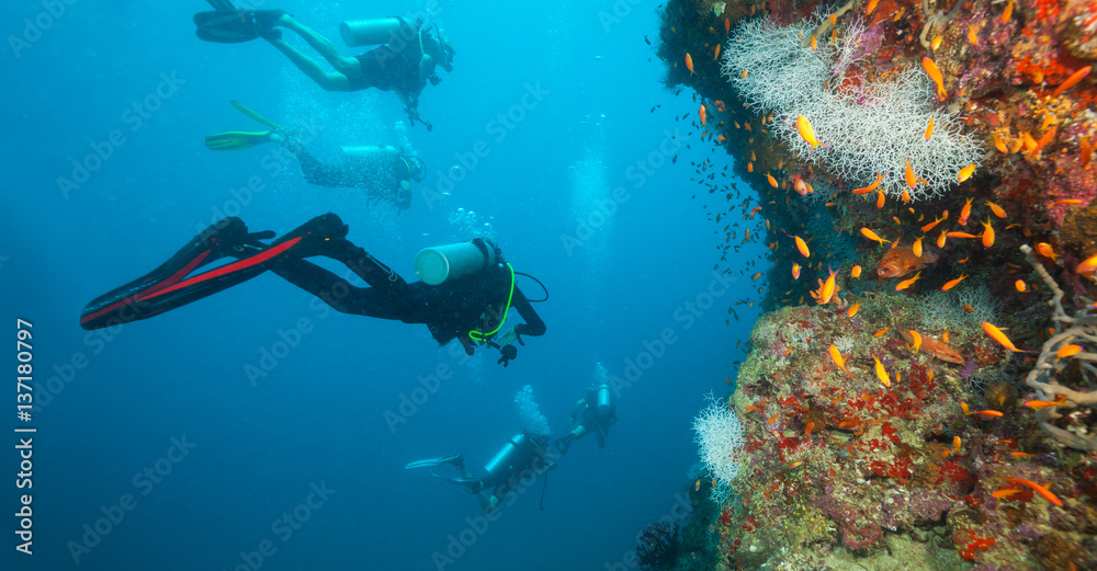 Group of scuba divers exploring coral reef