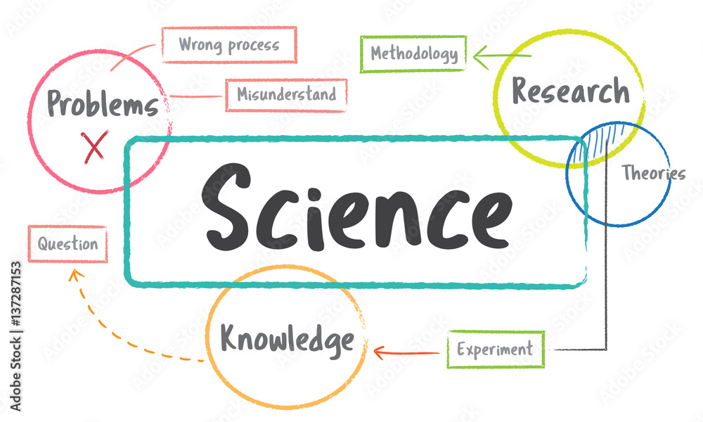 School education study process diagram