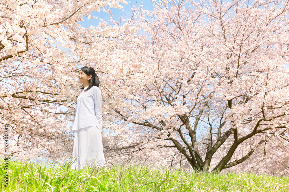 女性　桜