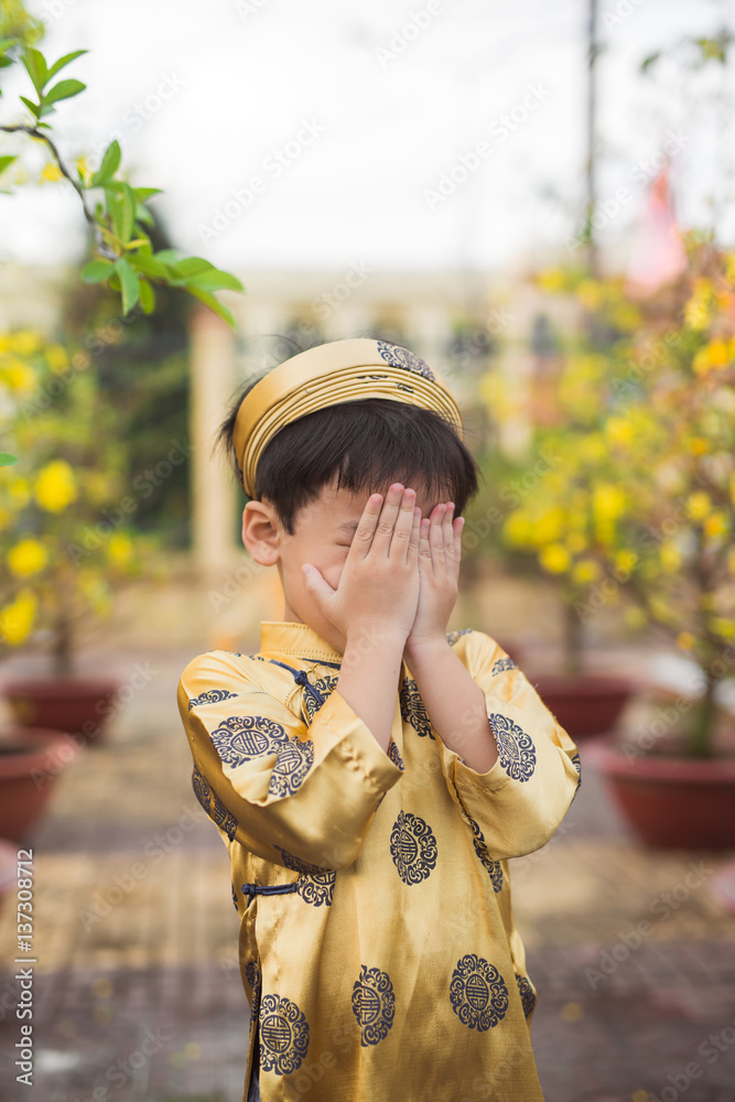 Happy kid having fun with traditional dress (ao dai) in Ochna Integerrima (Hoa Mai) garden. Hoa Mai 