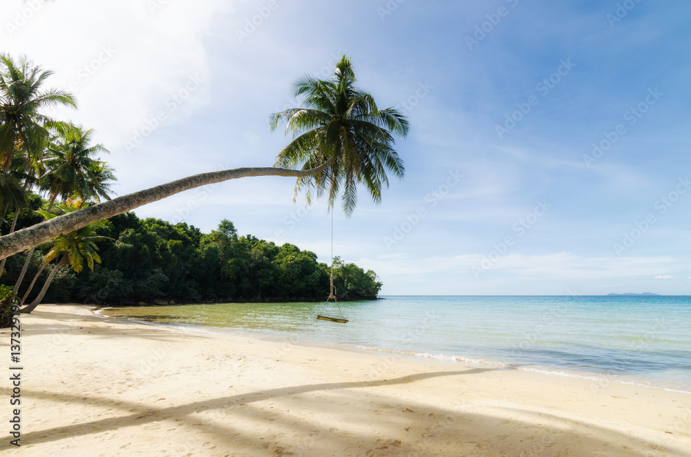 泰国普吉岛海滩海上椰子树上的秋千。夏天，旅行，度假和H