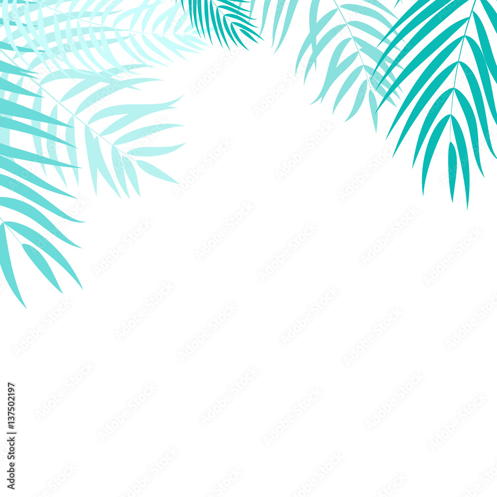 Beautifil Palm Tree Leaf  Silhouette Background Vector Illustrat