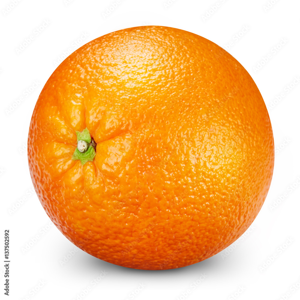 Fresh oranges isolated