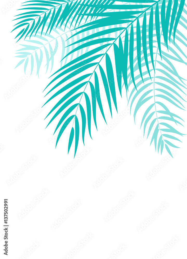 Beautifil Palm Tree Leaf  Silhouette Background Vector Illustrat