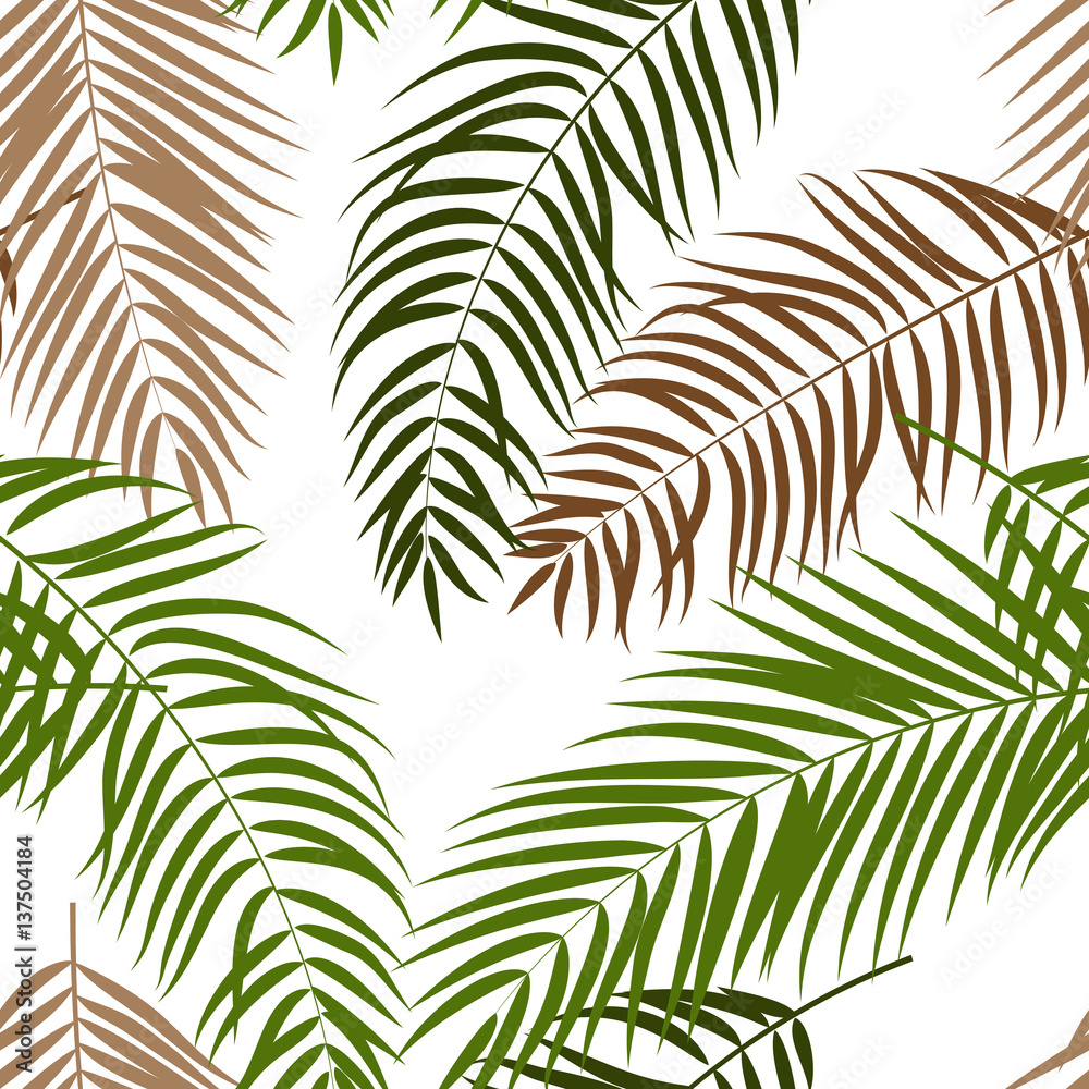 Beautifil Palm Tree Leaf  Silhouette Background Vector Illustrat