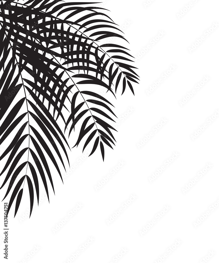 Beautifil Palm Tree Leaf  Silhouette Background Vector Illustrat