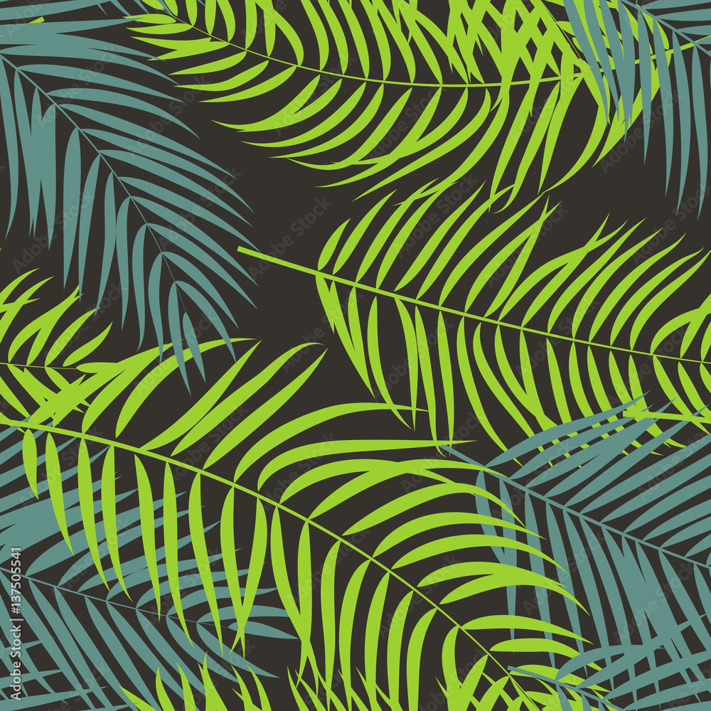 Beautifil Palm Tree Leaf  Silhouette Background Vector Illustrat