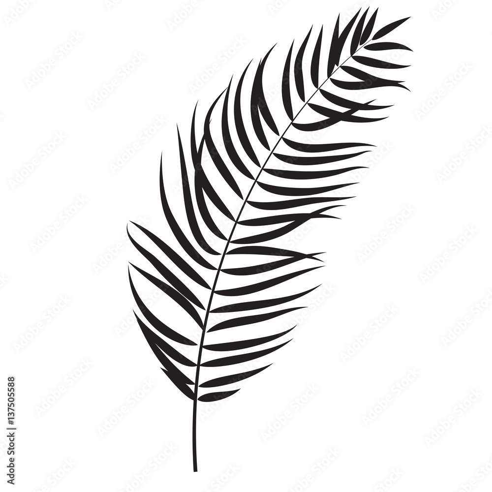 Beautifil Palm Tree Leaf  Silhouette Background Vector Illustrat