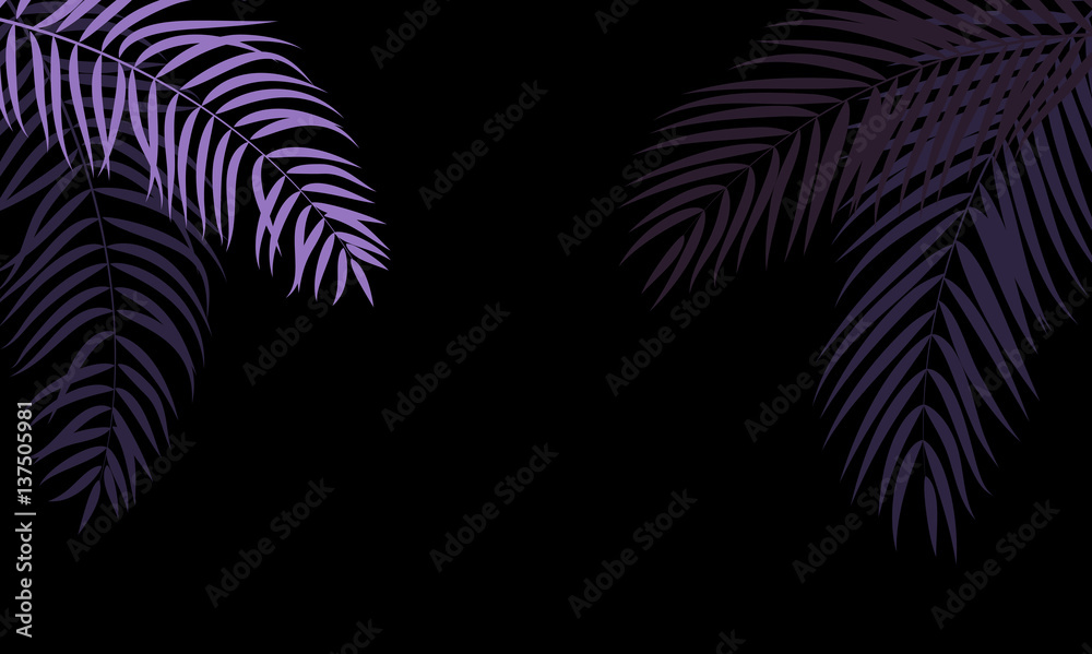 Beautifil Palm Tree Leaf  Silhouette Background Vector Illustrat