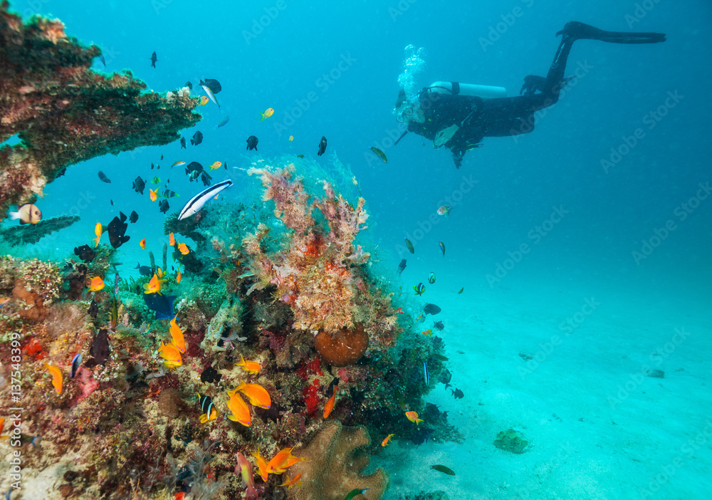 Woman scuba diver exploring sea bottom