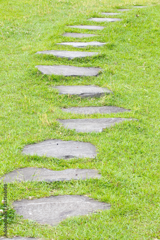 Japanese stone path and green grass in the garden