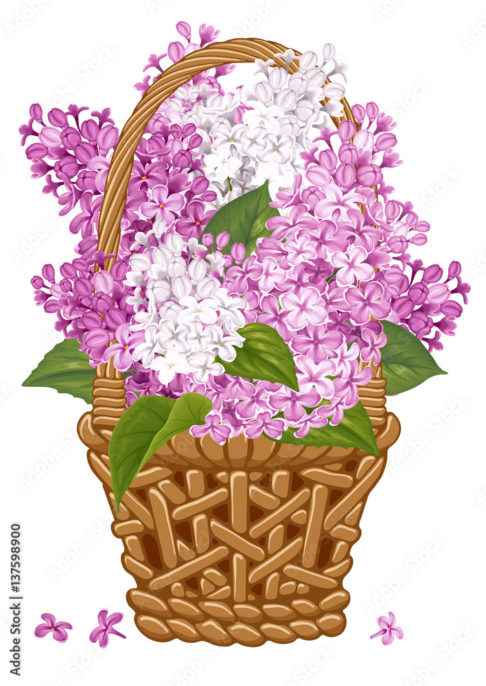 Lilac in basket