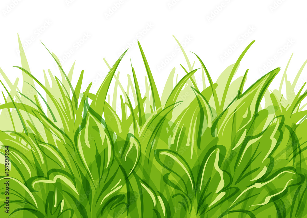 Vector grass background