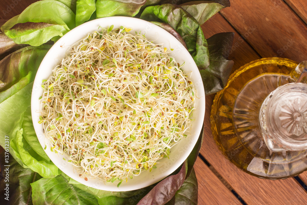 Alfalfa Sprouts into a bowl