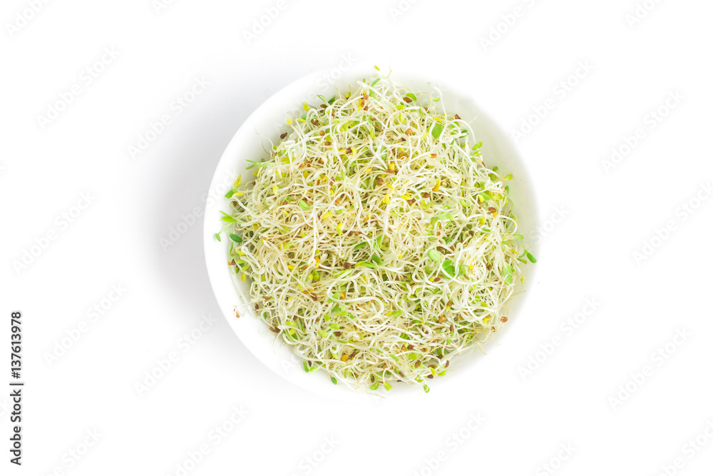 Alfalfa Sprouts into a bowl