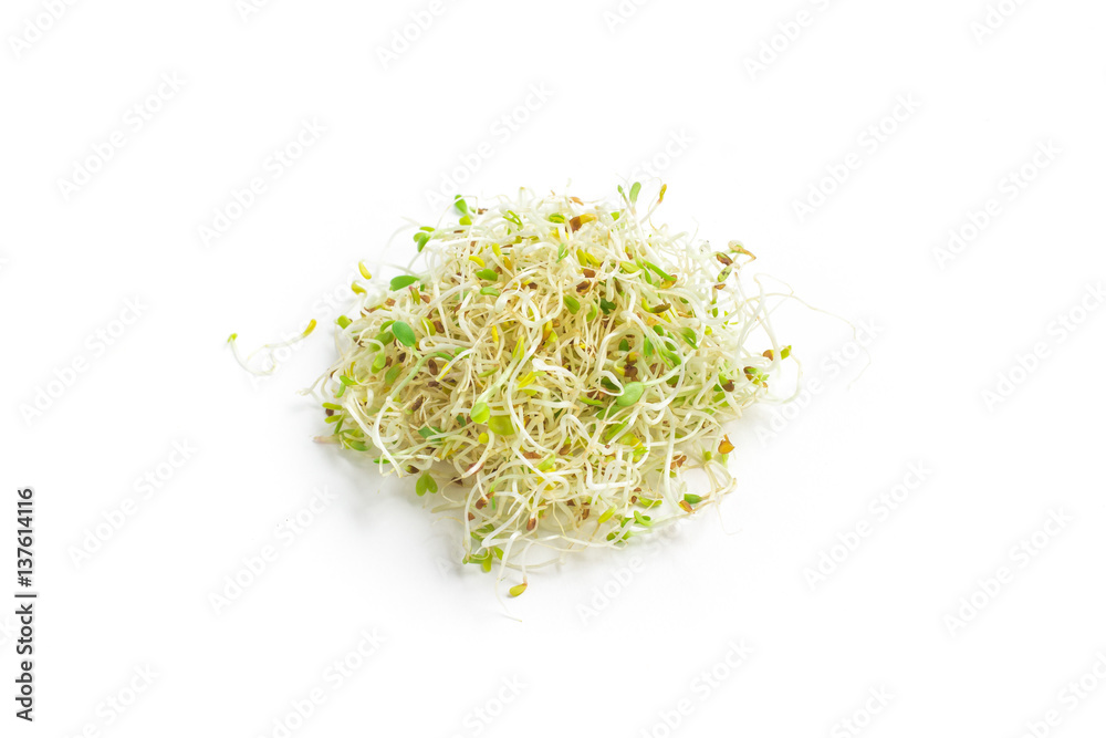 Heap of Alfalfa Sprouts