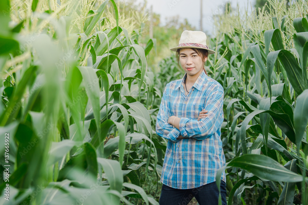 woman farmer on green corn field in agricultural garden