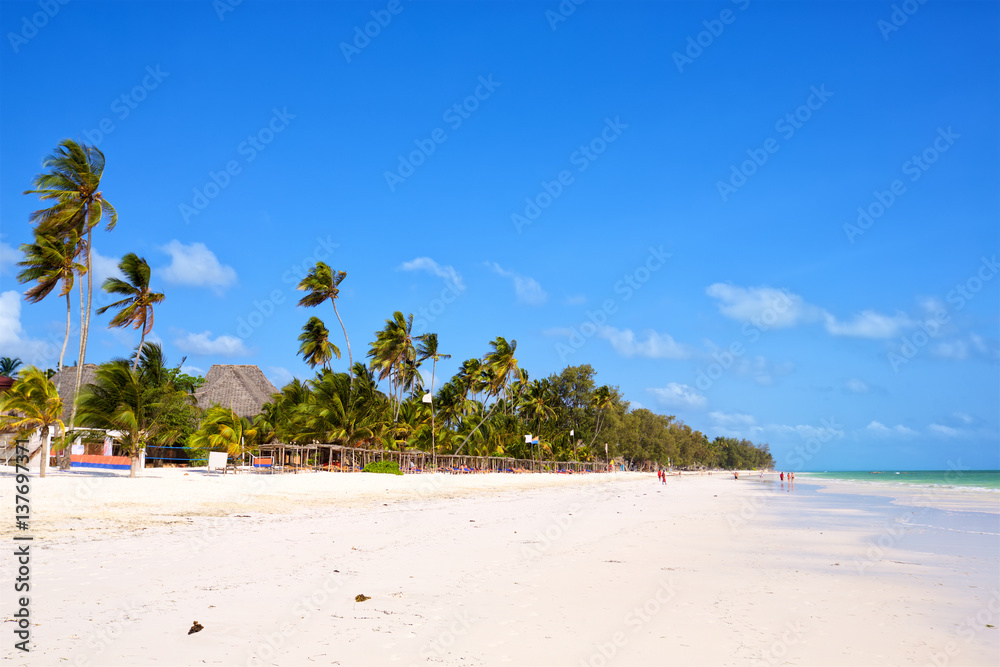 Tropical sand beach with palm trees in Zanzibar