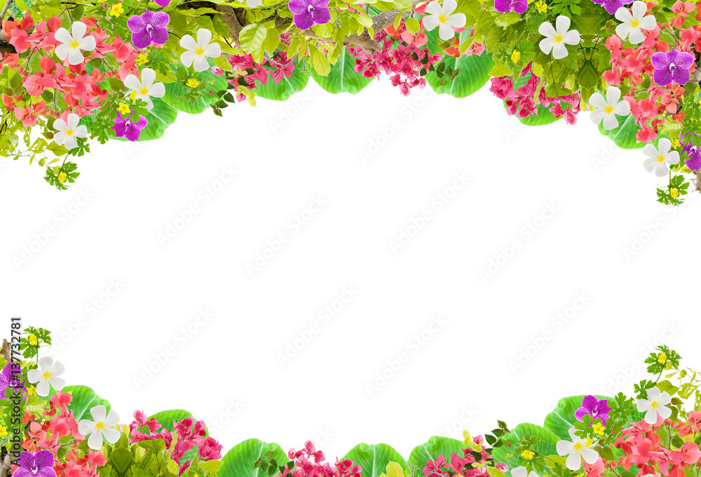 Beautiful leaves frame with flower on white background.