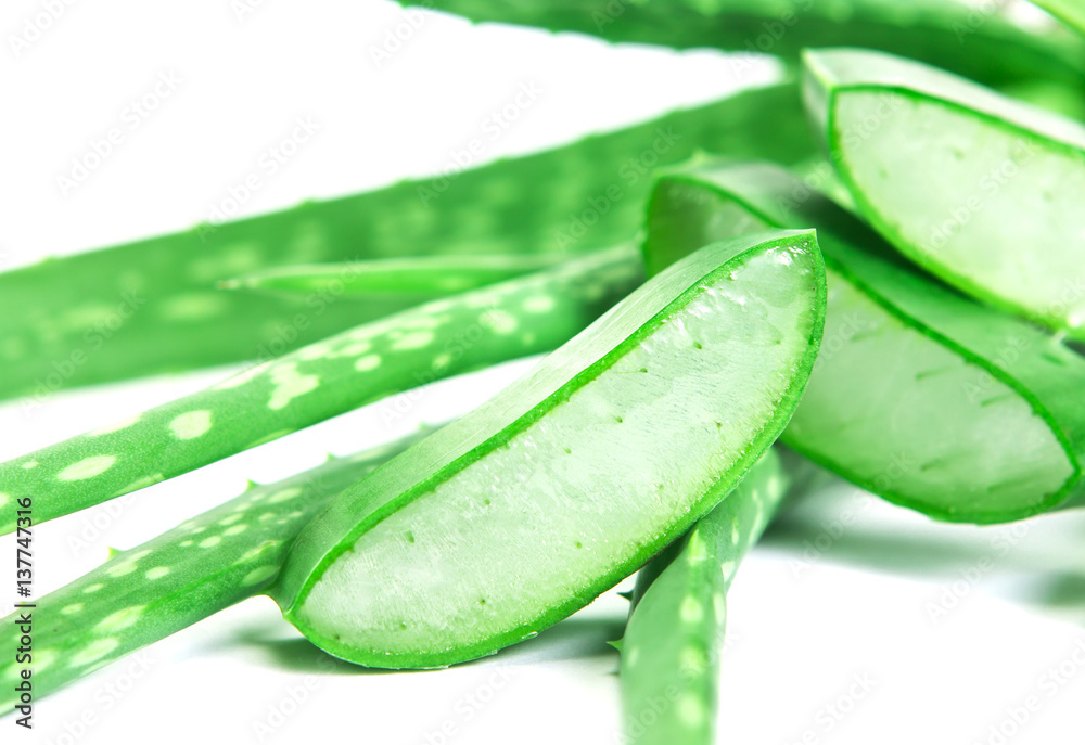 sliced and leaf of fresh aloe vera , natural clear gel as the star beauty ingredient  for skin care