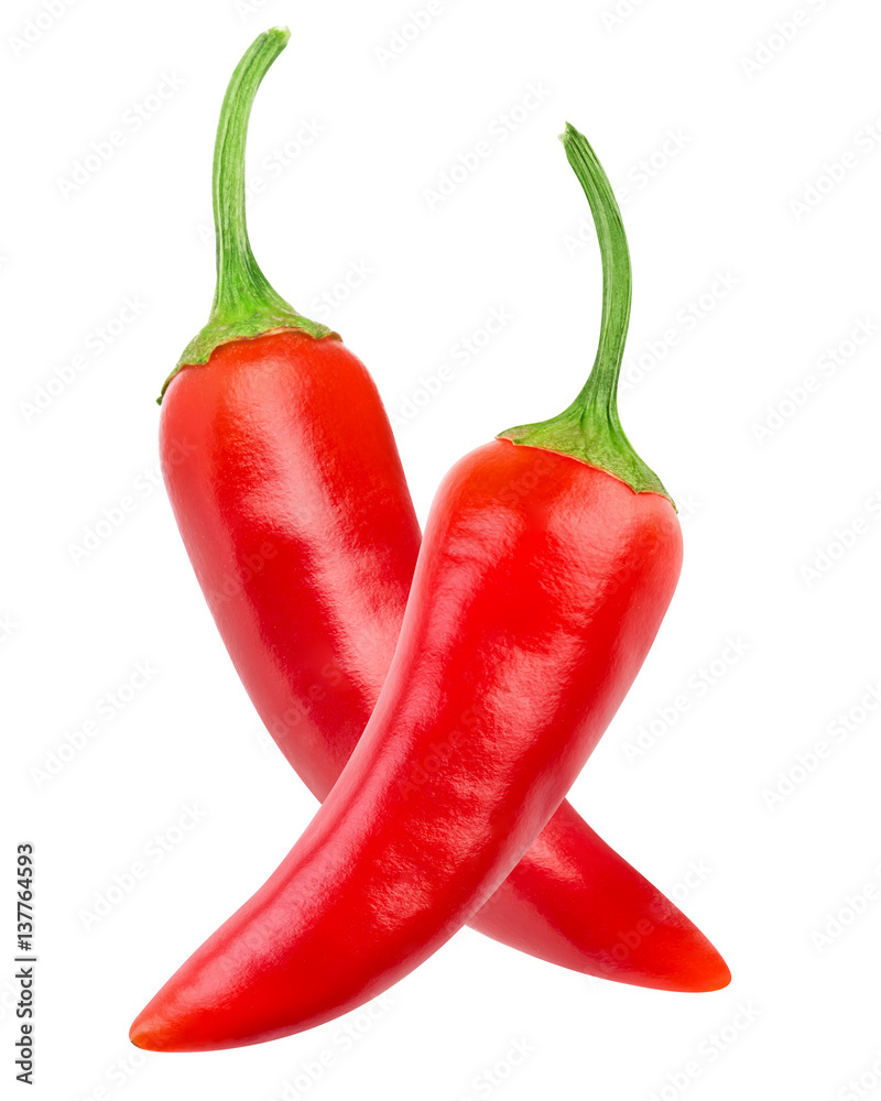 chili pepper isolated